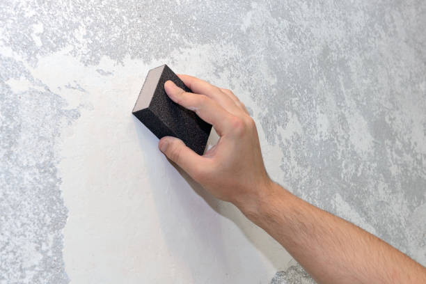 Mold Remediation for Vacation Homes in West Odessa, TX