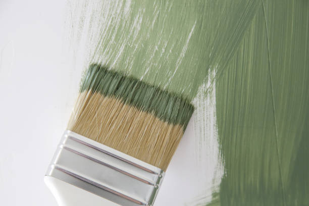 Best Attic Mold Removal  in West Odessa, TX