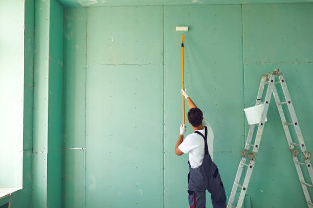 Best Post-Construction Mold Inspection  in West Odessa, TX