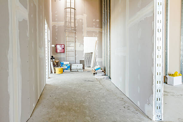 Best Industrial Mold Remediation  in West Odessa, TX